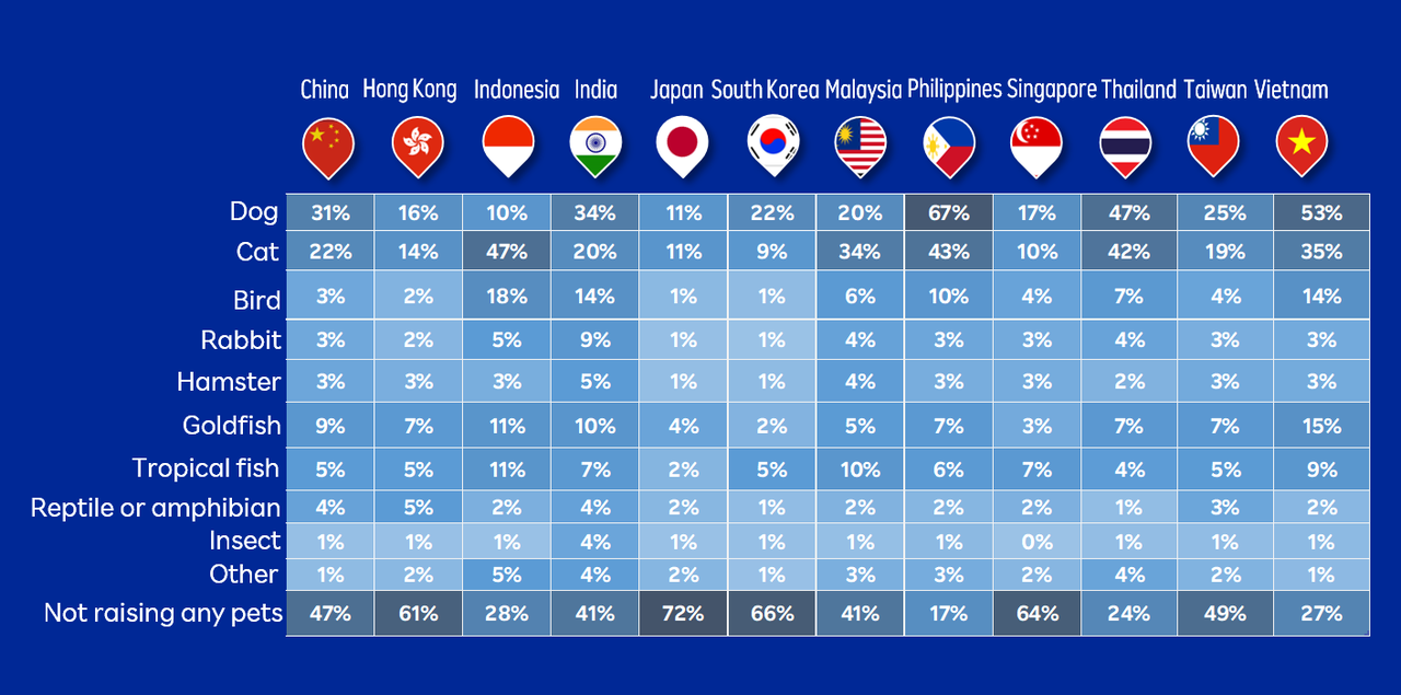 东南亚宠物用品蓝海市场，卖家如何利用独立站快速抢占先机？ 174796607247074320251025_-1 -4