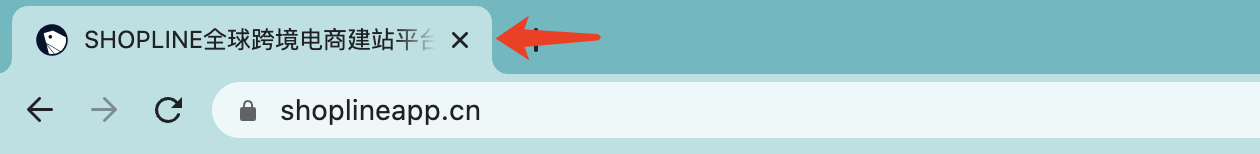 建站优化之产品上传 – 产品标题、描述与SEO设置 63a85157f3ba37abede83f0020251030_ -3