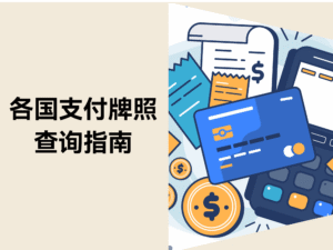 2025年各国支付牌照查询指南缩略图 2025年各国支付牌照查询指南缩略图