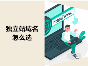 独立站域名指南缩略图