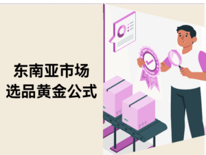 从 0 到百万!东南亚独立站选品黄金公式实战指南缩略图 从 0 到百万!东南亚独立站选品黄金公式实战指南缩略图