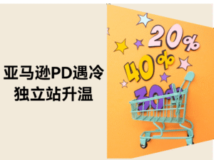 2025亚马逊Prime Day遇冷？独立站或成新增长点！缩略图