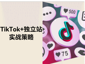 TikTok 流量爆炸时代，独立站为何成为跨境增长的最强杠杆？缩略图
