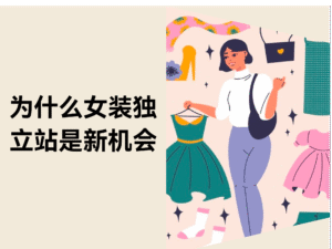 还在靠平台铺货？代工接单？独立站才是女装品牌的真正机会缩略图