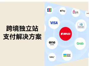 独立站收款指南:如何让支付成功率突破 80%?大卖们都这样做缩略图 独立站收款指南:如何让支付成功率突破 80%?大卖们都这样做缩略图