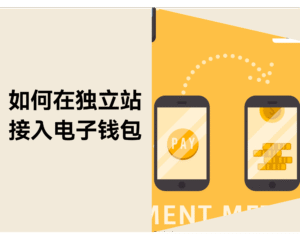 不止 PayPal!教你在独立站接入 Apple Pay 和 Google Pay缩略图 不止 PayPal!教你在独立站接入 Apple Pay 和 Google Pay缩略图
