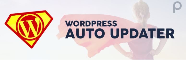 6 款最佳 WordPress 自动更新插件（对比评测） Companion_Auto_Update_20251119_ -11