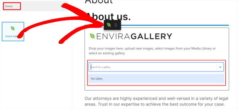 Envira Gallery 评测 – 最佳 WordPress 图库插件 add-envira-gallery-with-block20251120_ -17