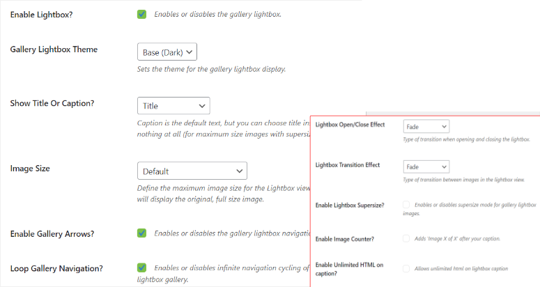 Envira Gallery 评测 – 最佳 WordPress 图库插件 add-envira-lightbox-effect20251120_ -20