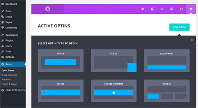 2025 年 5 款最佳 WordPress 弹出窗口插件（性能对比） bloomuserinterface20251107_ -12