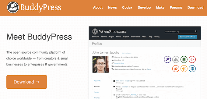 我试用了 5 款最佳 WordPress 社区插件（这样你就不用自己试了） buddypress-community-plugin20251107_ -8