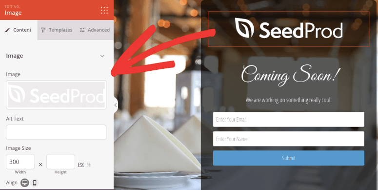 SeedProd 评测——这款网站建设工具真的好用吗？【2025 年】 change-logo-in-maintenance-mode-page20251118_ -19