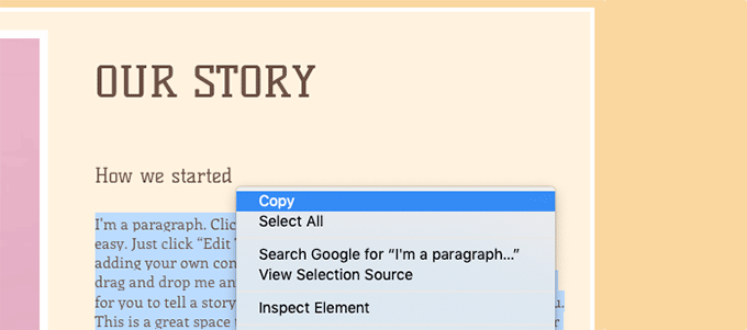 如何正确地从 Wix 切换到 WordPress（分步指南） copypagecontent20251108_ -18
