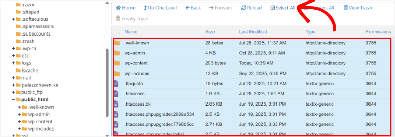 如何备份 WordPress 多站点（使用插件和不使用插件） cpanel-public-html-select-all20251120_ -4