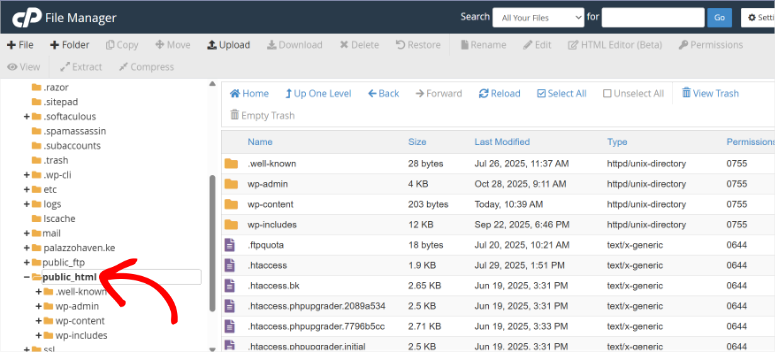 如何备份 WordPress 多站点（使用插件和不使用插件） cpanel-public-html20251120_ -3
