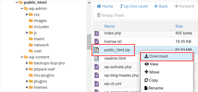 如何备份 WordPress 多站点（使用插件和不使用插件） download-public-html20251120_ -8