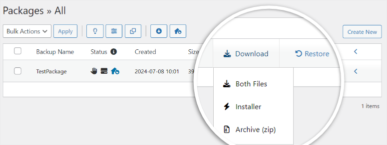 Duplicator 评测：这是最好的 WordPress 备份插件吗？ duplicator-pro-download-package20251119_ -13