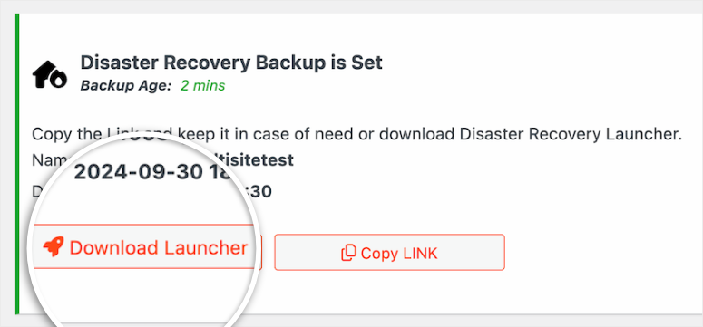 如何备份 WordPress 多站点（使用插件和不使用插件） duplicator-pro-multisite-download-launcher20251120_ -31