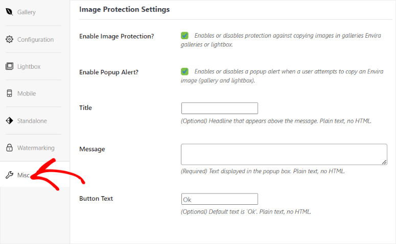 Envira Gallery 评测 – 最佳 WordPress 图库插件 envira-protection-addon20251120_ -27