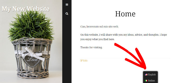 TranslatePress 评测：它是最好的翻译插件吗？ language-preview20251119_ -9
