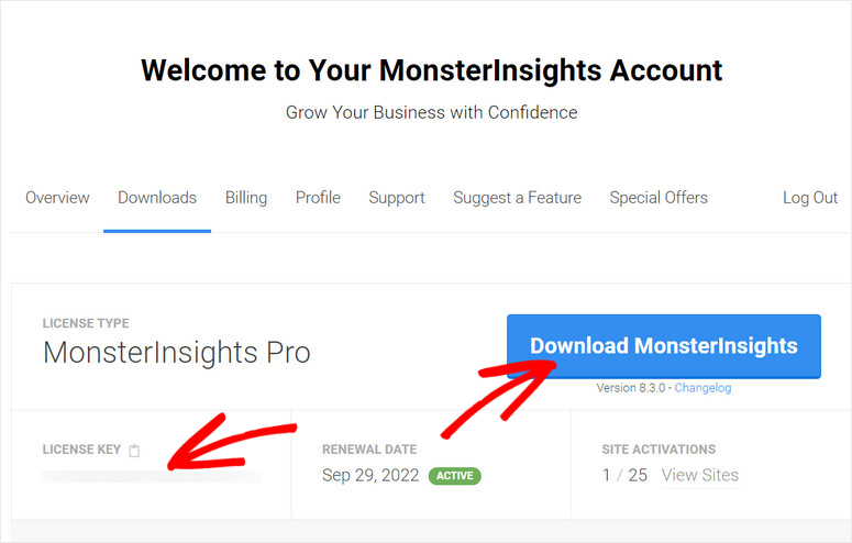 MonsterInsights 2025 年评测：它是最好的 Google Analytics 插件吗？ license-key-monsterinsights20251118_ -6