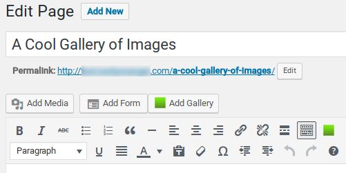 NextGEN Gallery 评测：它是最好的图库插件吗？ nextgen-gallery-review-add-new-gallery20251120_ -4