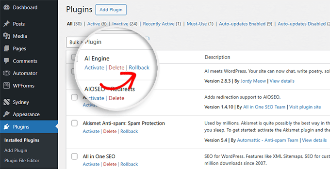 WordPress 错误排查入门指南（分步详解） rollback-plugin-update20251123_ -10