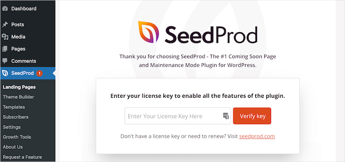 如何在 WordPress 中创建感谢页面 seedprod-license-key20251114_ -2