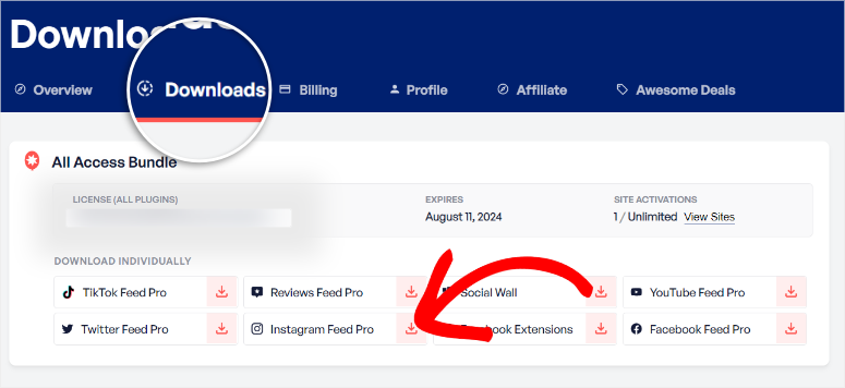 Smash Balloon 评测：这是最好的社交媒体信息流插件吗？ smash-balloon-download-pro20251120_ -4