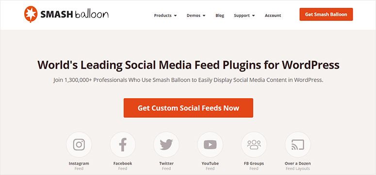 2025 年 45+ 款最佳 WordPress 插件 smash-balloon20251118_ -23