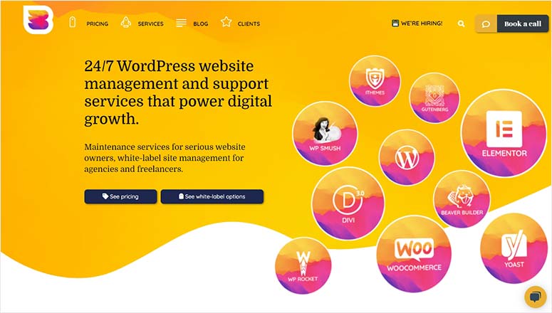 8 款最佳 WordPress 维护服务及方案（对比评测） wp-buffs20251119_ -2