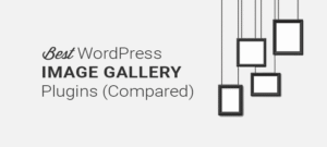 2025 年十大最佳 WordPress 图库插件评测与比较缩略图