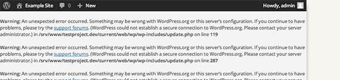 63 个最常见的 WordPress 错误及解决方法 wpsecureconnectionerror20251114_ -36
