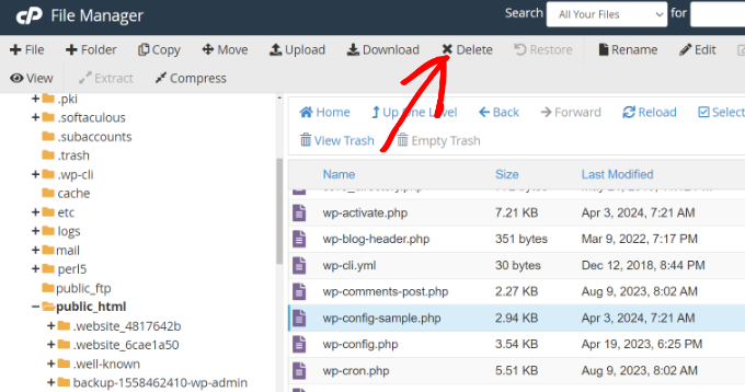 新手指南：如何从备份恢复 WordPress delete-core-file-from-cpanel-file-manager20251201_ -3