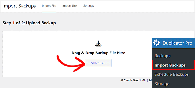 如何备份您的 WordPress 网站（终极指南） select-your-backup-file20251201_ -49