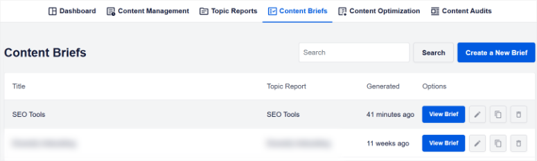 SEOBoost评测：这是最好的页面优化SEO工具吗？ seoboost-content-brief-tab20251201_ -13