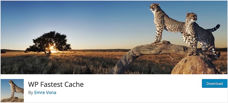 11款最佳WordPress缓存插件对比（2025） wpfastestcache20251206_ -8